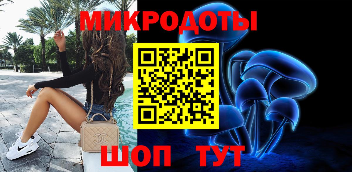 Елабуга  Галлюциногенные грибы Psilocybe  Вход с VPN  Псилоцибиновые грибы прущие грибы 